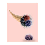 Cactus Cream 50x70 (Print Only) thumbnail