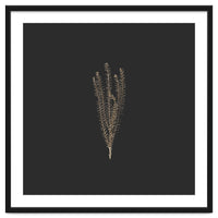 Delicate Fynbos Botanicals in Gold and Black - Square