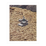 Traffic Jam (Print Only) thumbnail
