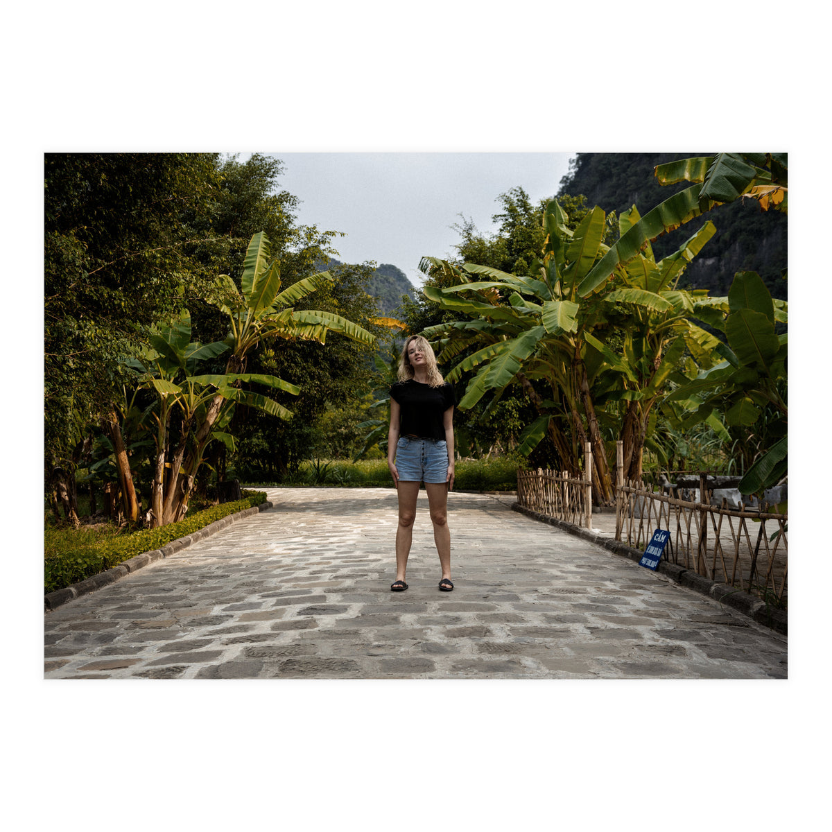 Spiritual Journey (Print Only)