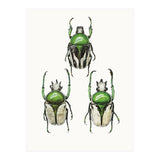 Cc Insects 04 (Print Only) thumbnail