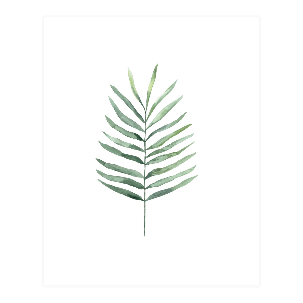 Botanical Illustration Fern (Print Only)