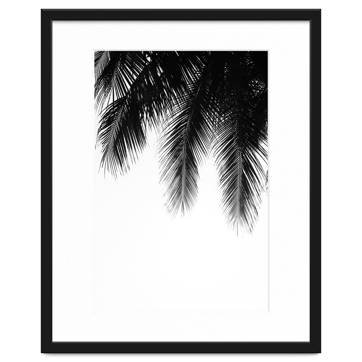 Palm leaves