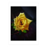 Yellow Flora (Print Only) thumbnail