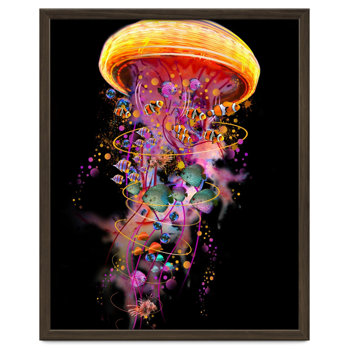 Jelly Fish Ride Summer2018 Dbh