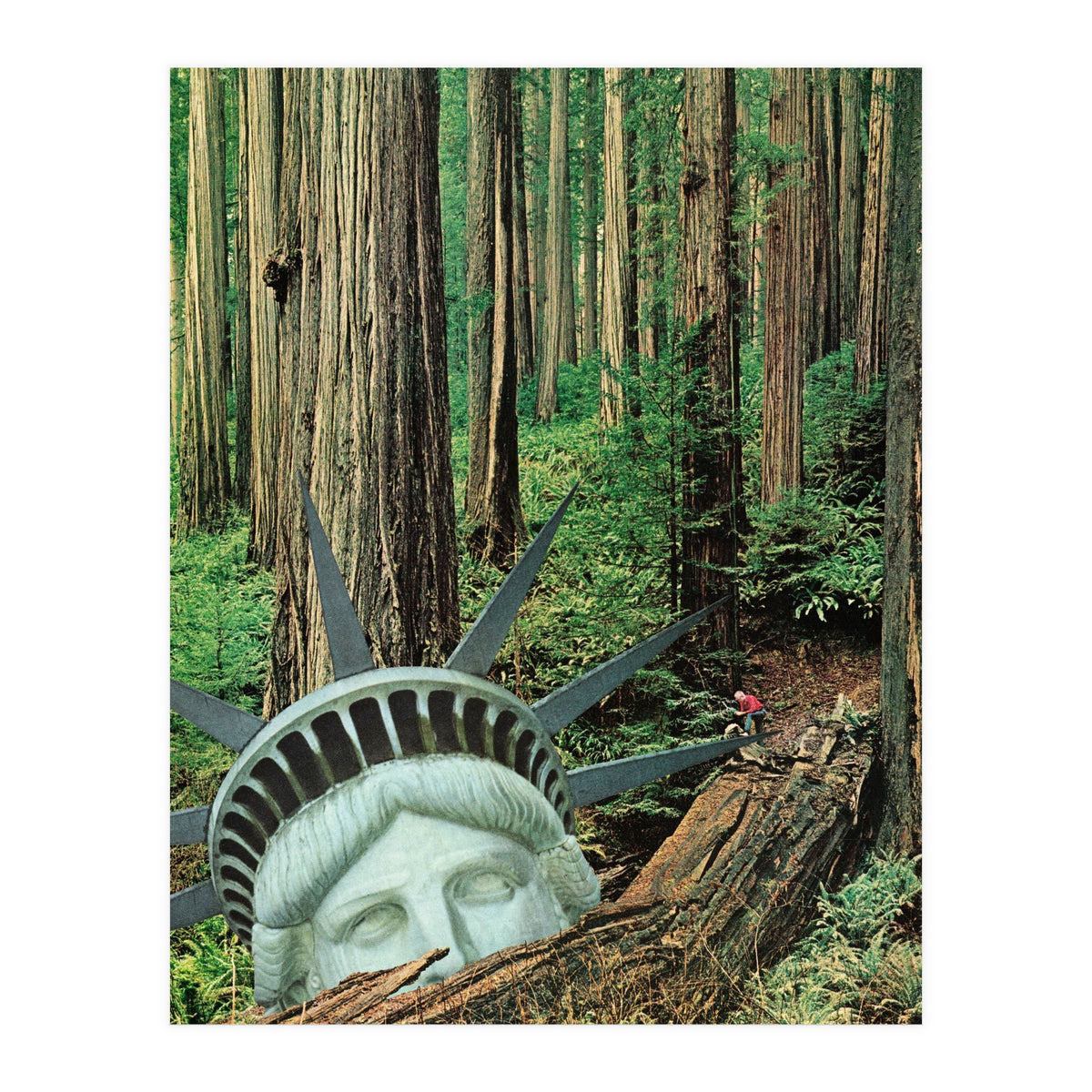 Multiverse (Print Only)