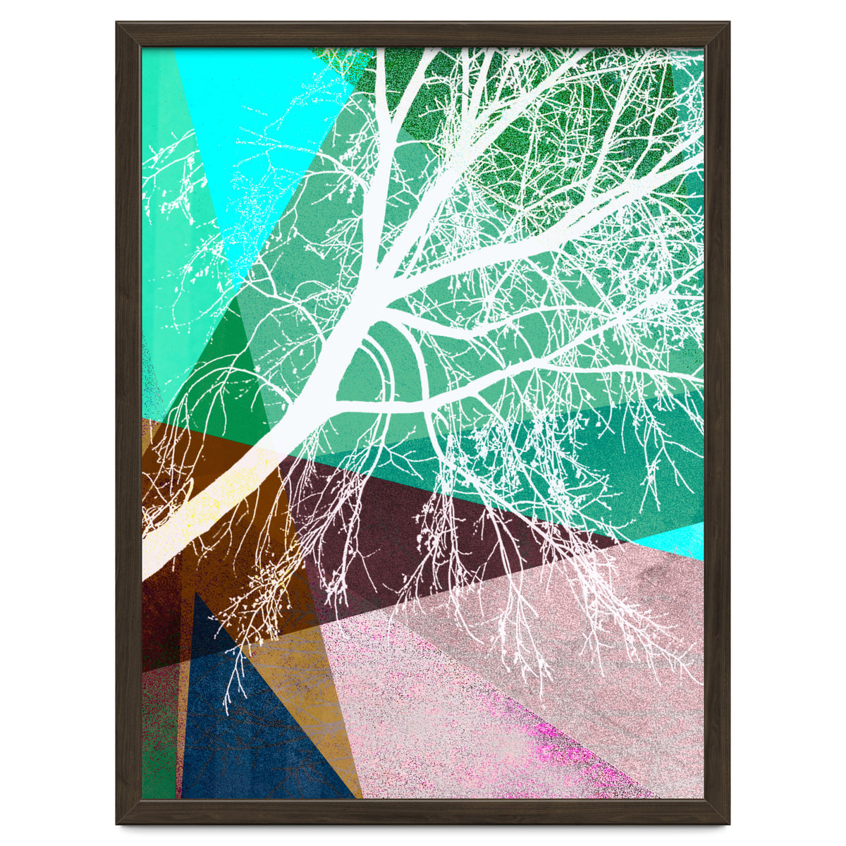 P16-H Trees And Triangles