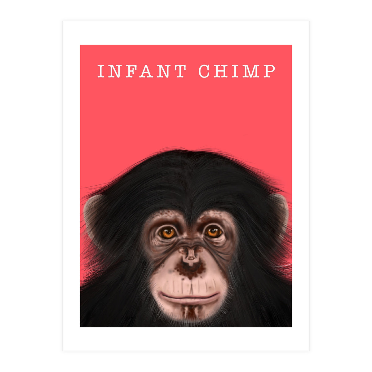 Infant Chimp (Print Only)
