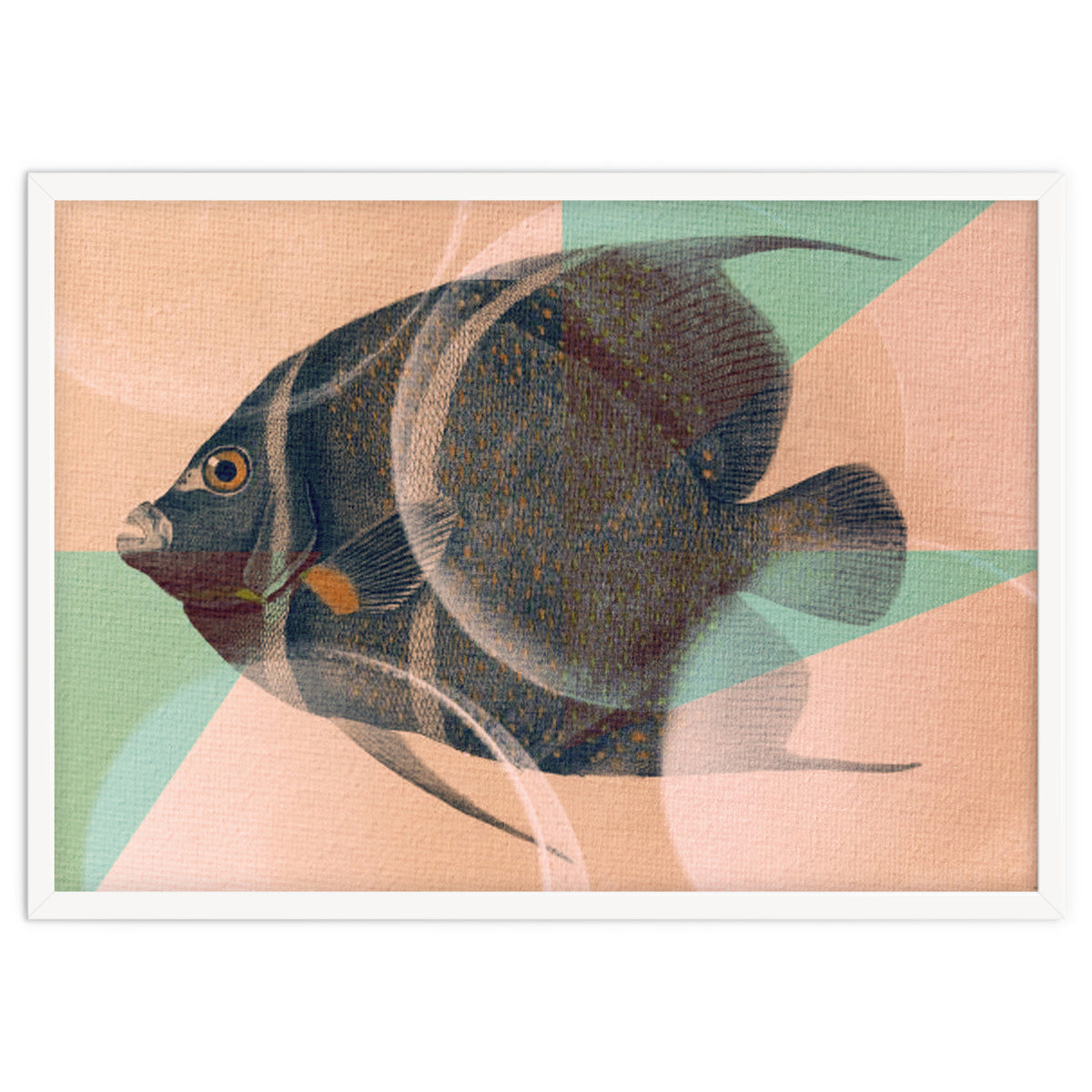 Fish Between Circles 2