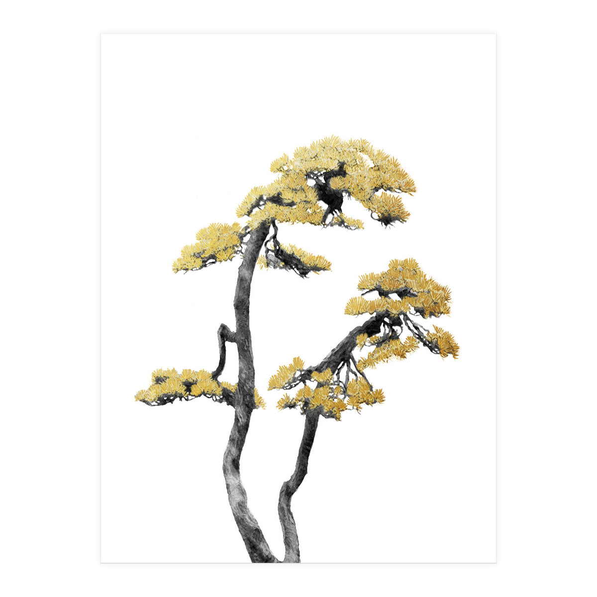 Bonsai Tree 06 (Print Only)