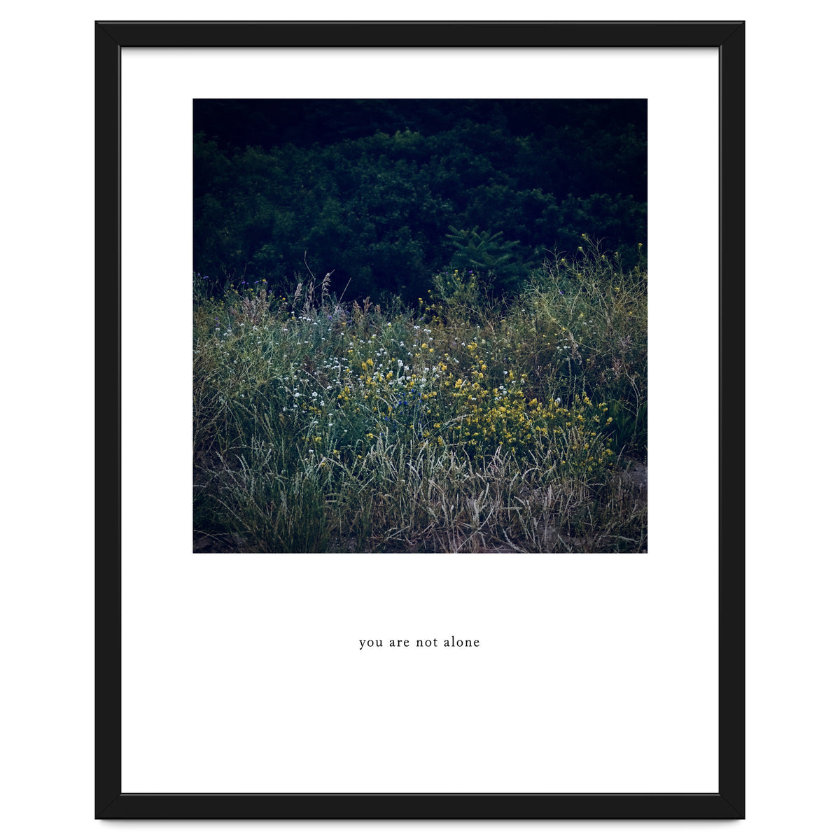 you are not alone - Nature Photography