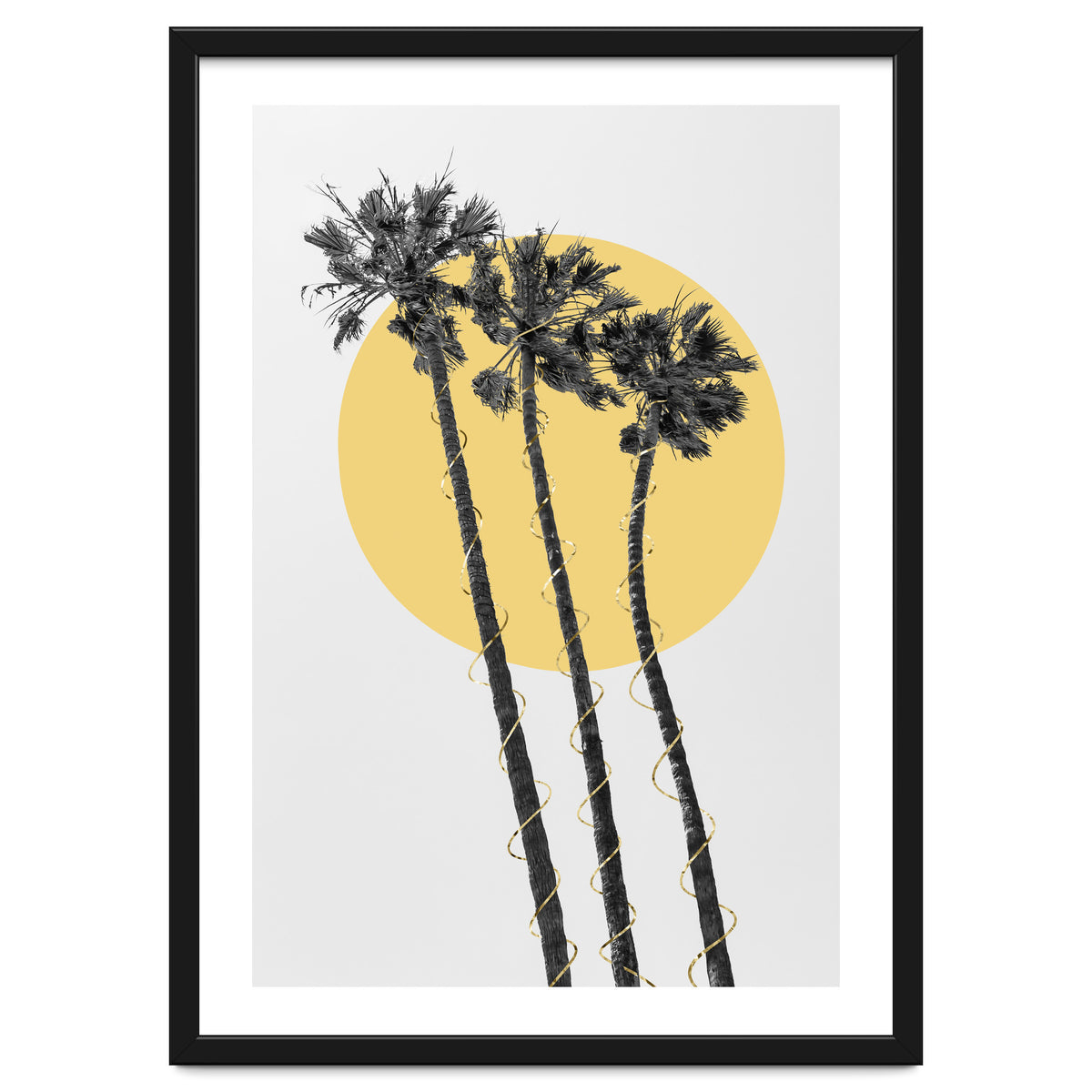 Palm Trees in the sun