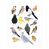 UK Birds in Glasses (Print Only) thumbnail