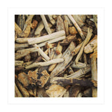 Driftwood (Print Only) thumbnail