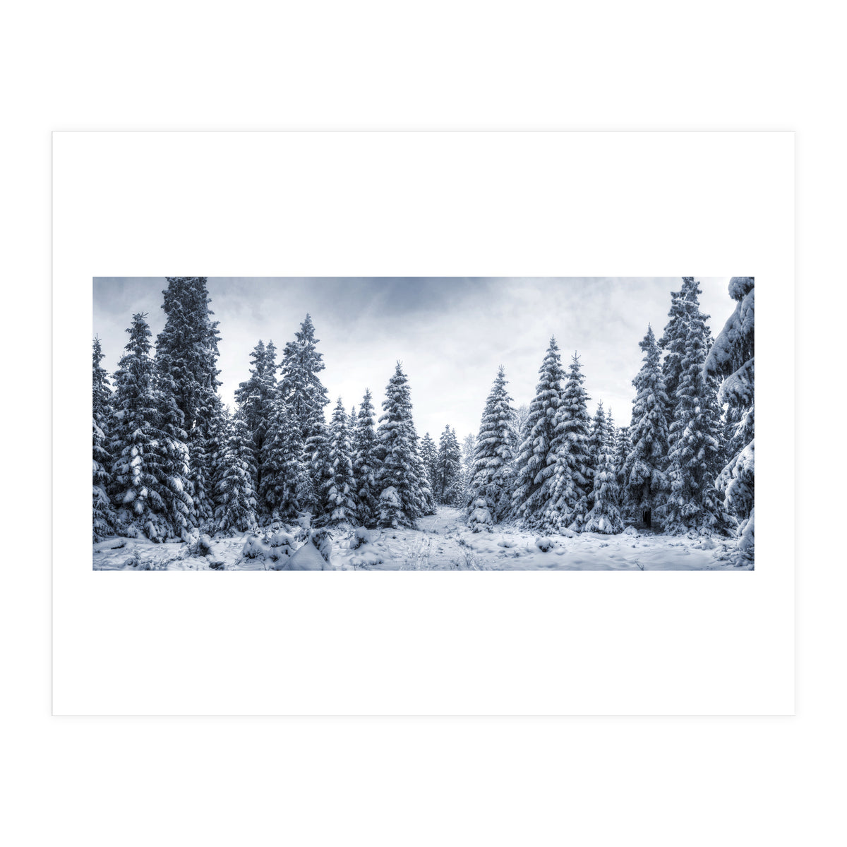 Winterland (Print Only)