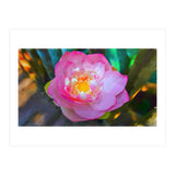 Lotus Flower (Print Only) thumbnail