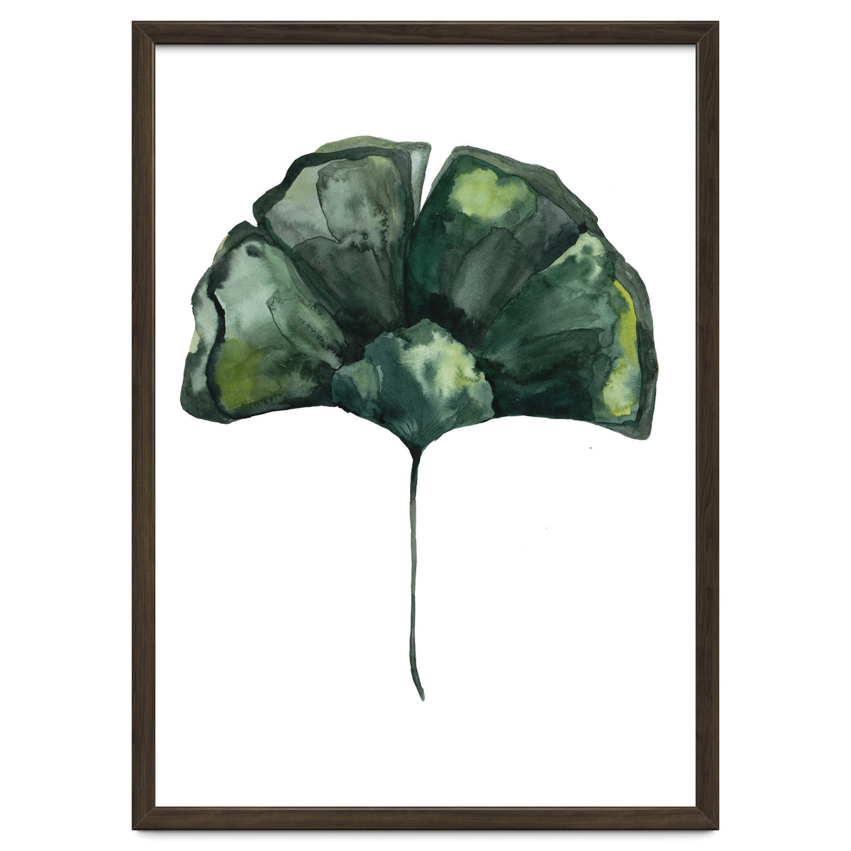 Botanical Illustration Ginko