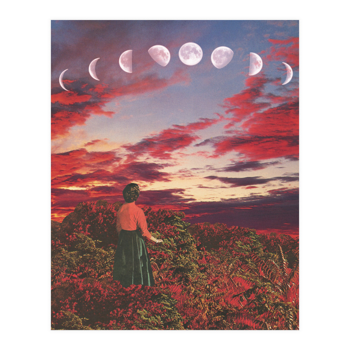 Crimson Paradise (Print Only)