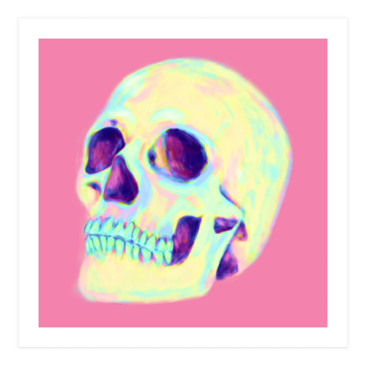 Skull (Print Only)