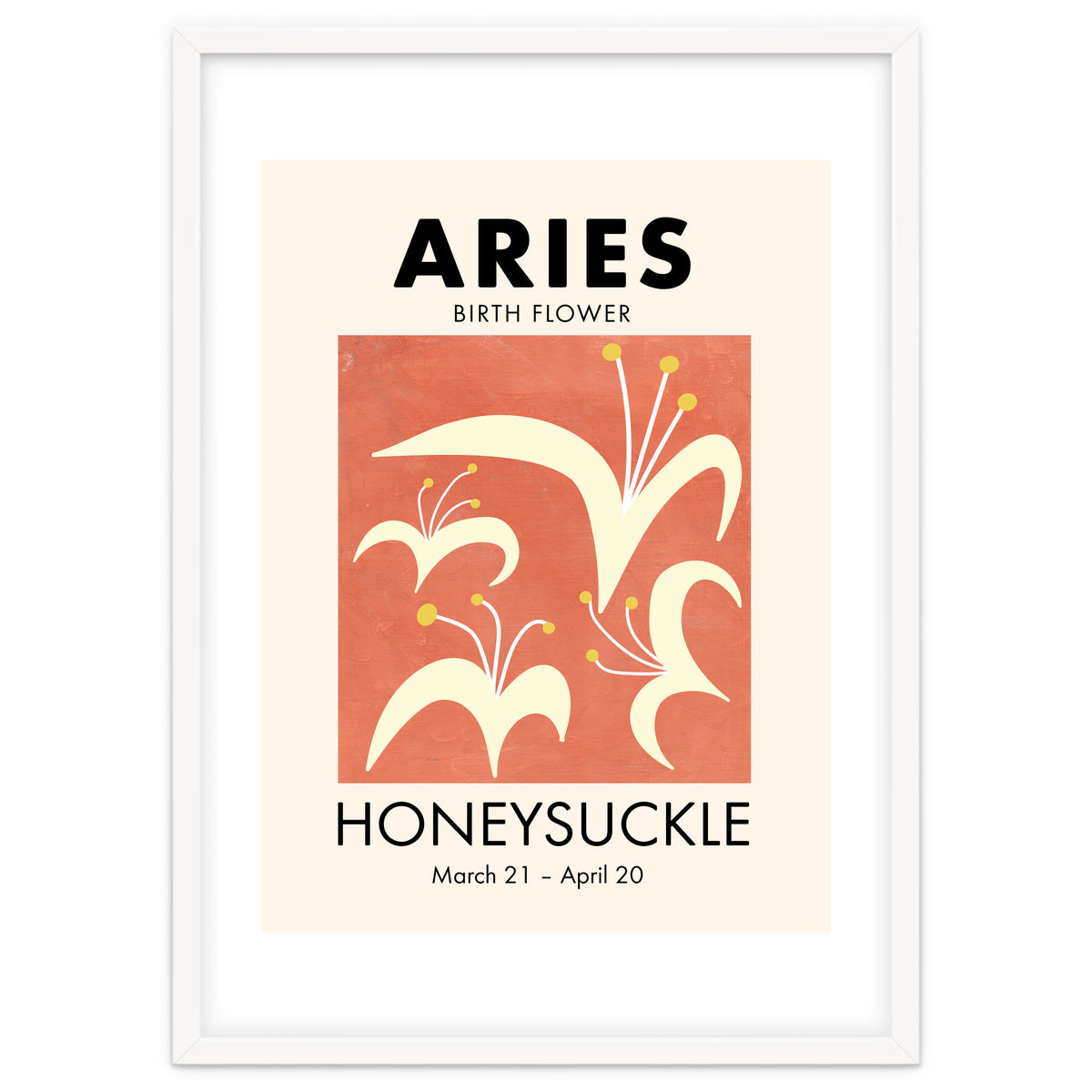 Aries Birth Flower Honeysuckle