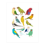 Parrotts in Glasses (Print Only) thumbnail
