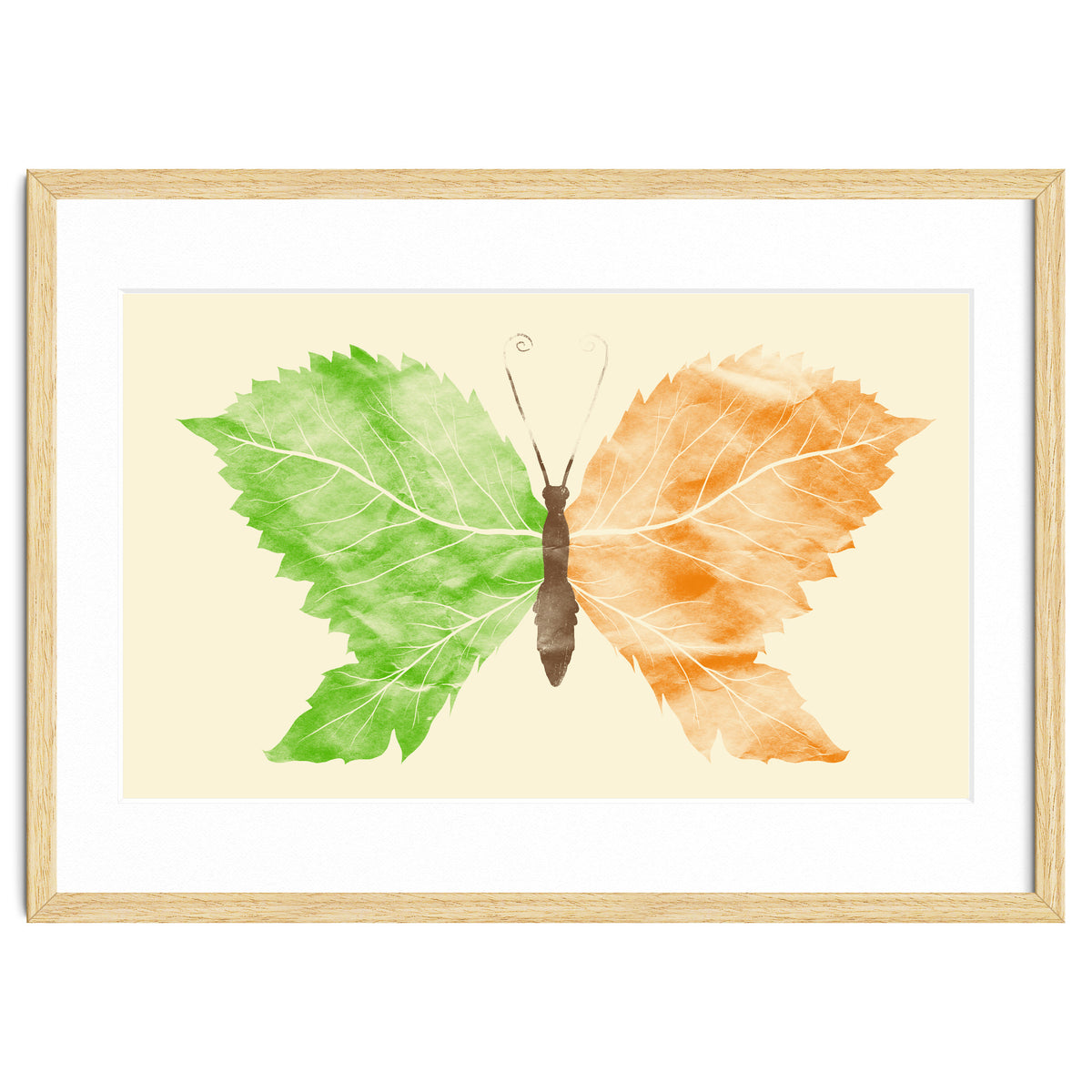 Seasons Change Time Flies