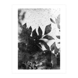 Leaves #1 (Print Only) thumbnail