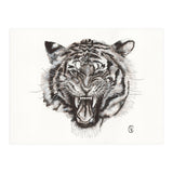 Tiger (Print Only) thumbnail