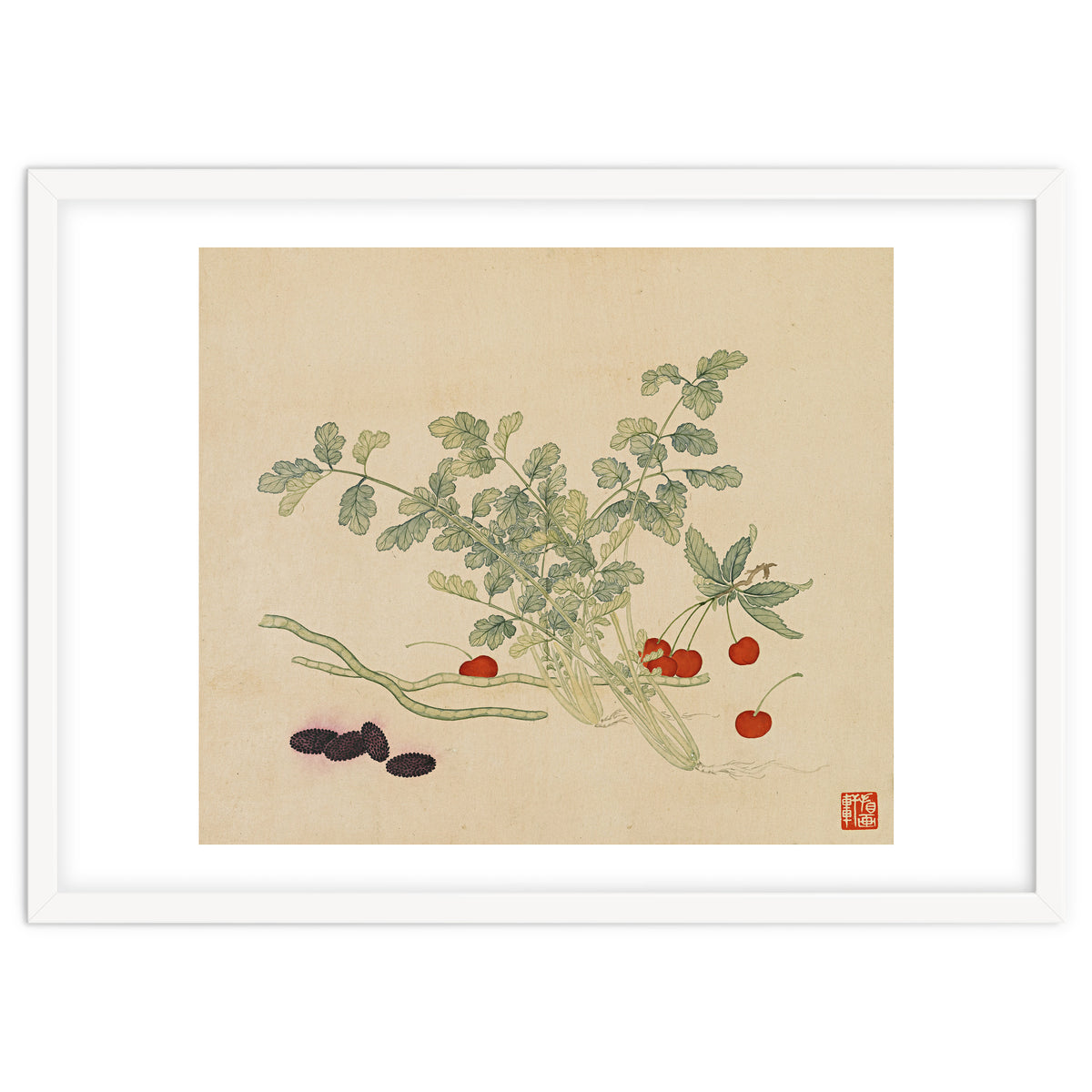 Wang Chengyu~flowers And Vegetables, Vegetables, Fruits, Beans, Red Beans, Cherries, Celery