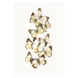 Cc Butterflies 01 (Print Only) thumbnail