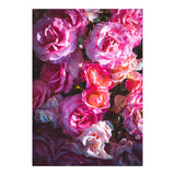 Rose Flowers  (Print Only) thumbnail