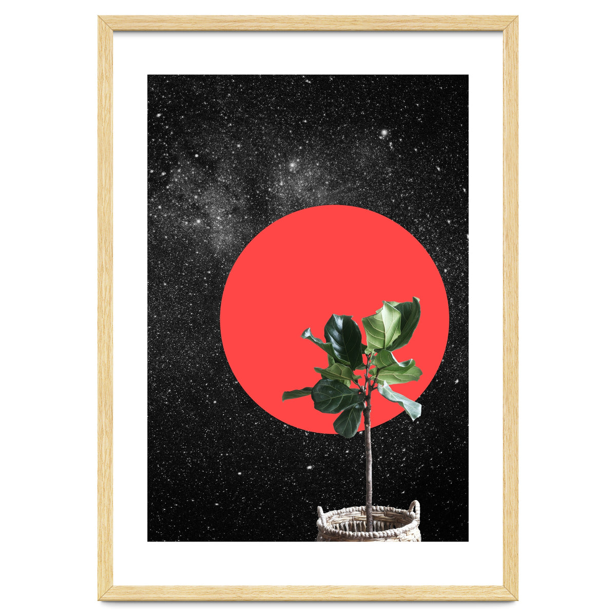 "Bonsai" - Digital Collage