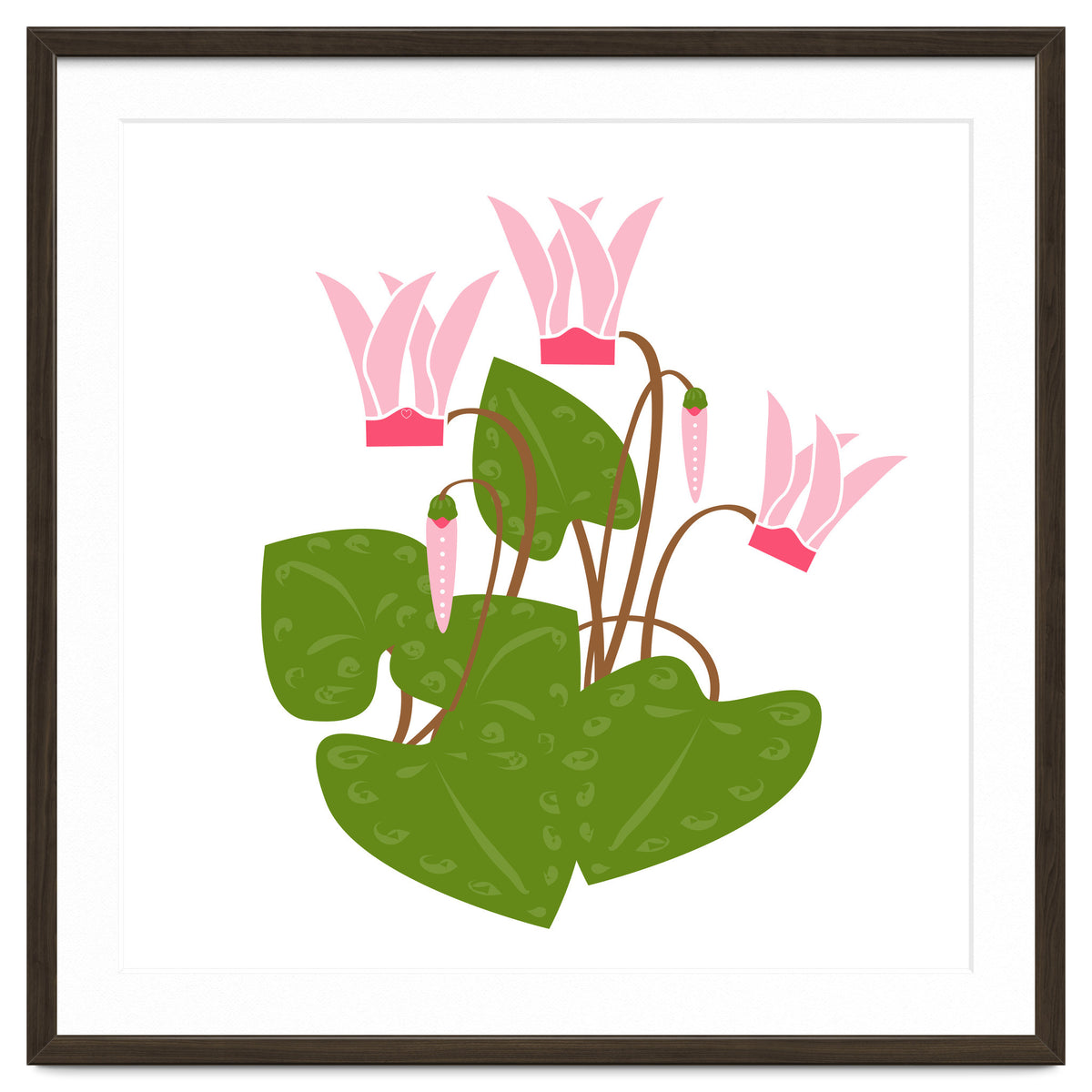 Cascading Cyclamen