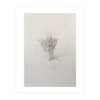 Crocuses Drawing (Print Only)