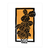 Fiddle Leaf Fig Clean + Sunlight (Print Only) thumbnail