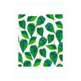 House Plant (Print Only) thumbnail