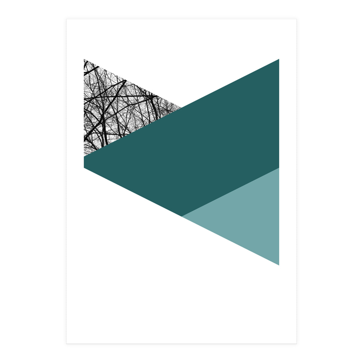 TRIWOOD I (Print Only)