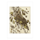 Great Horned Owl (Print Only) thumbnail