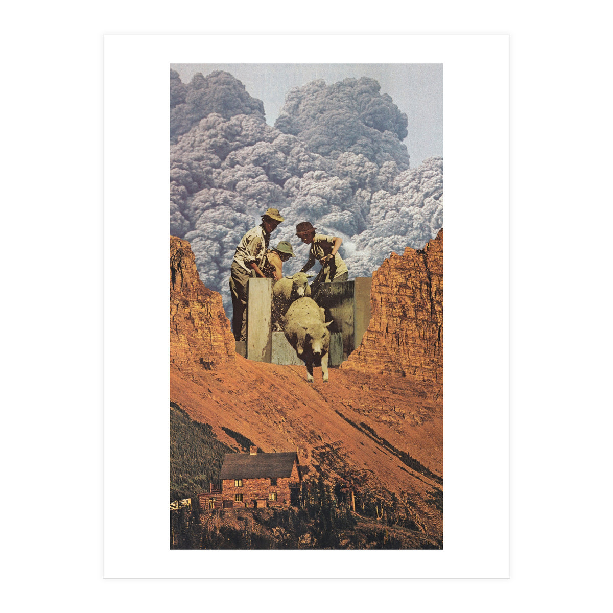 Dirty Sheep (Print Only)