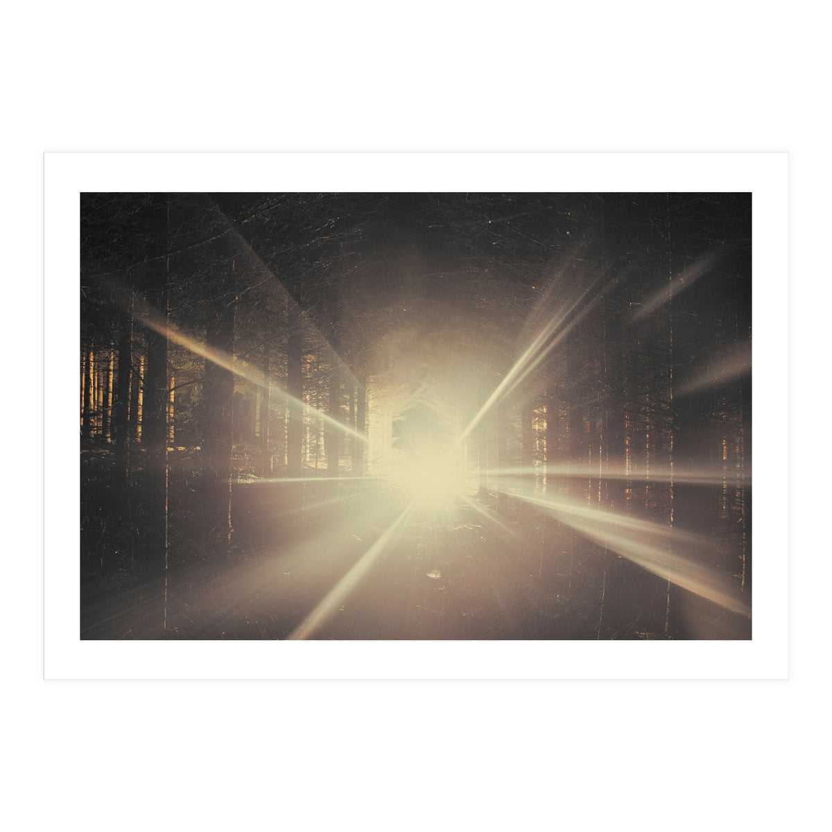 Why is Summer Mist Romantic and Autumn Mist just Sad? (Print Only)