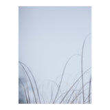 Forgotten Memories of Summer #20 (Print Only) thumbnail