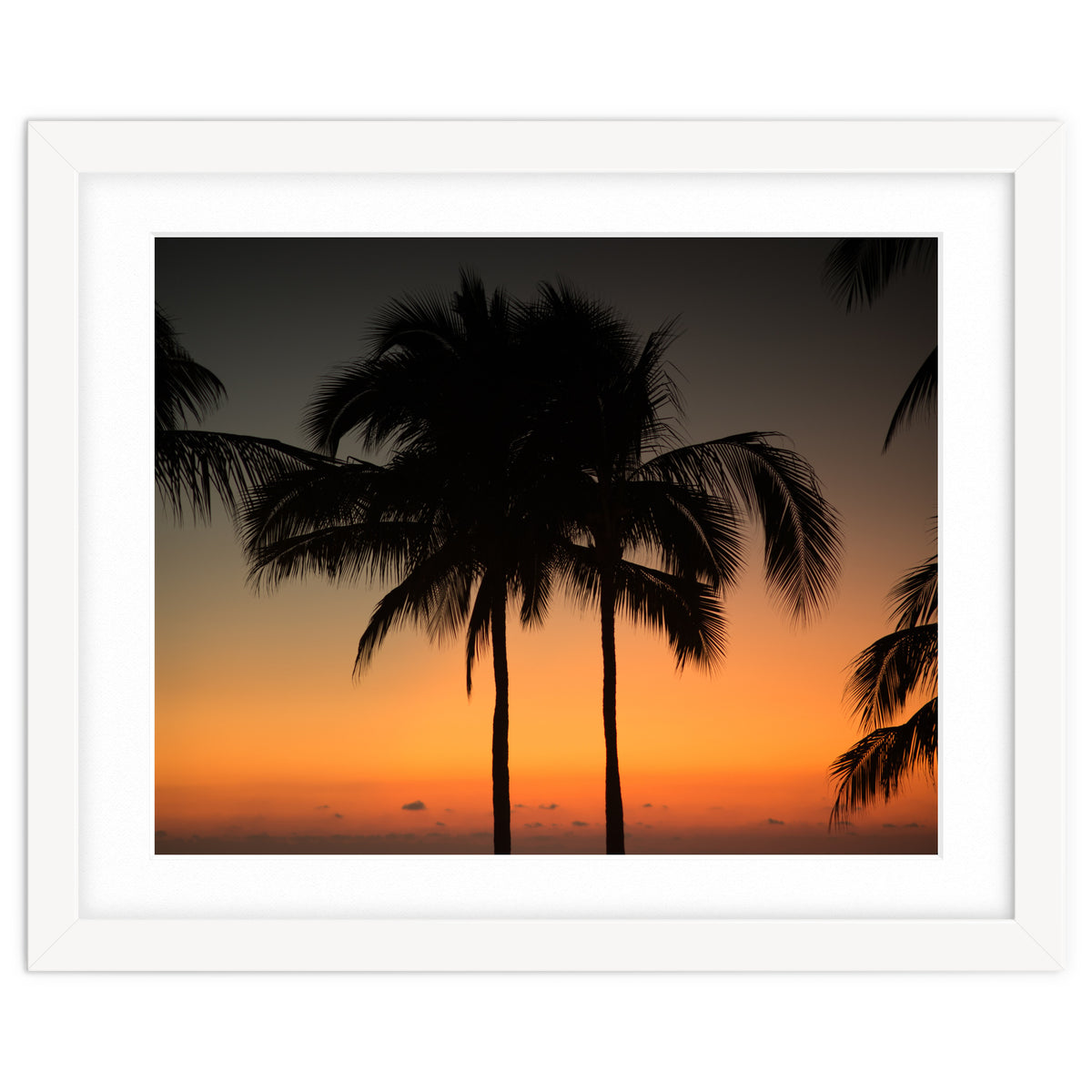 Mexico, November nights