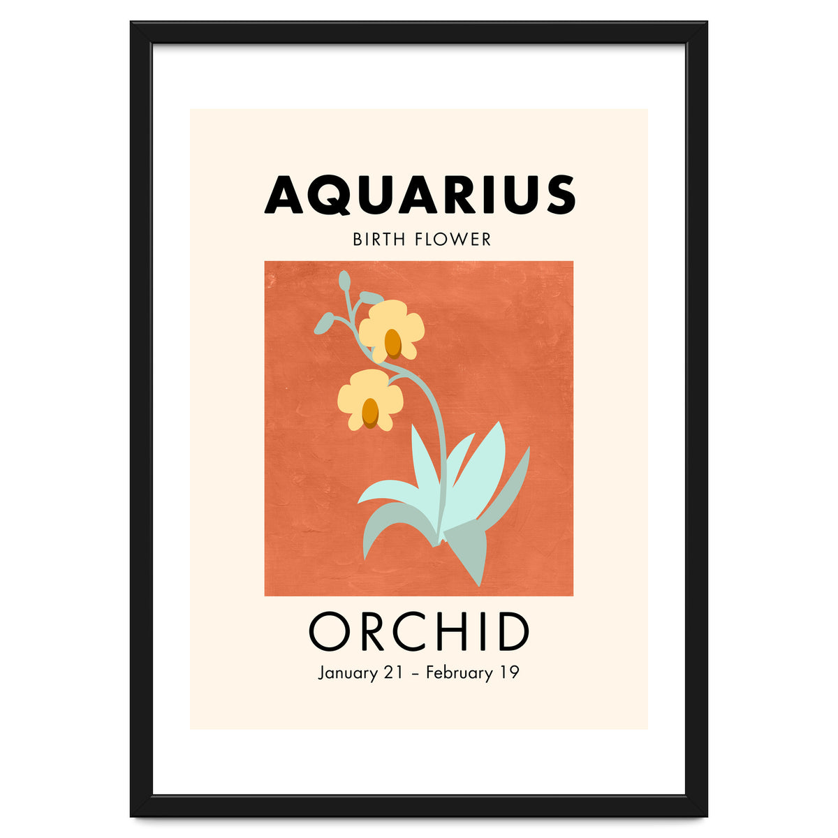 Aquarius Birth Flower Orchid