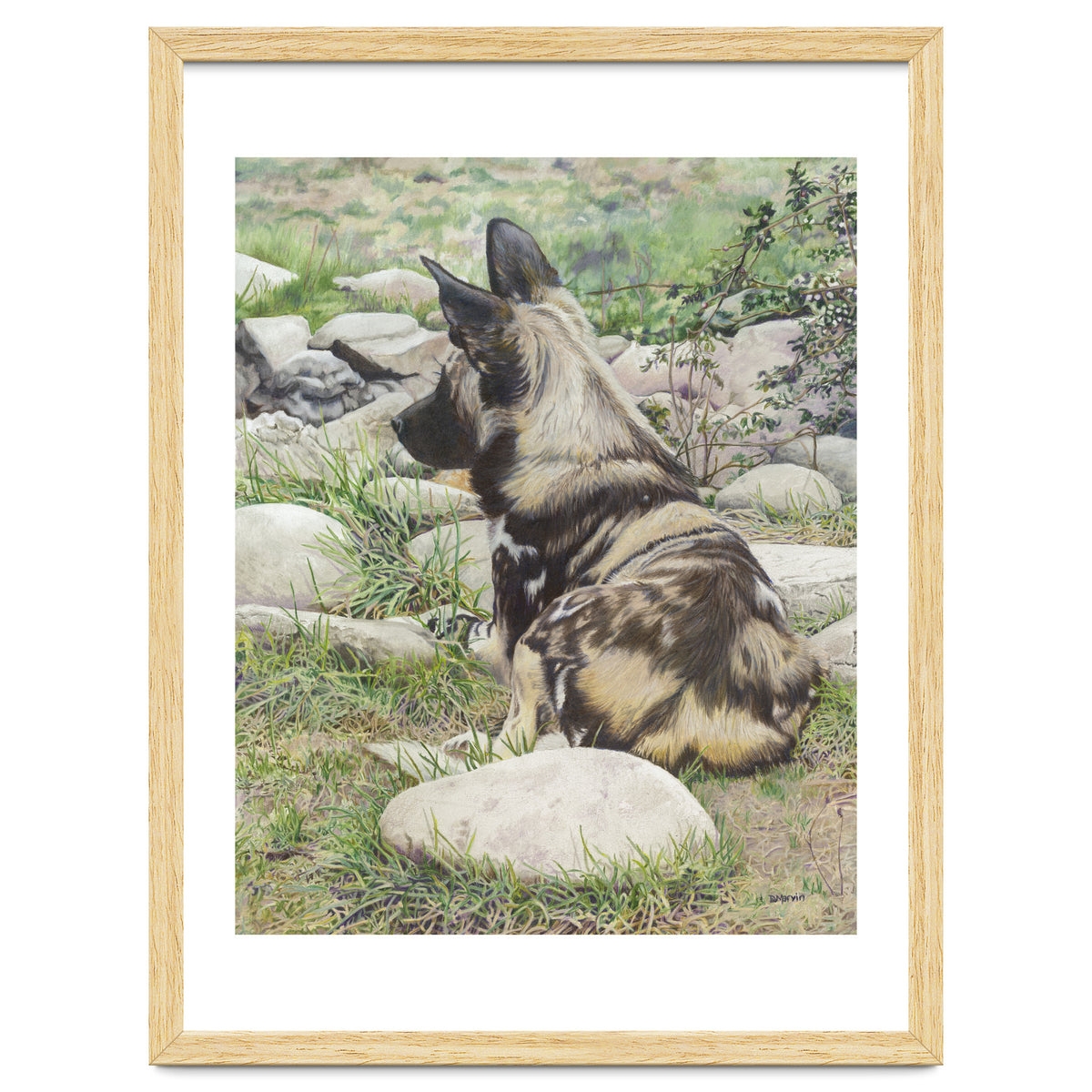 African Painted Dog I