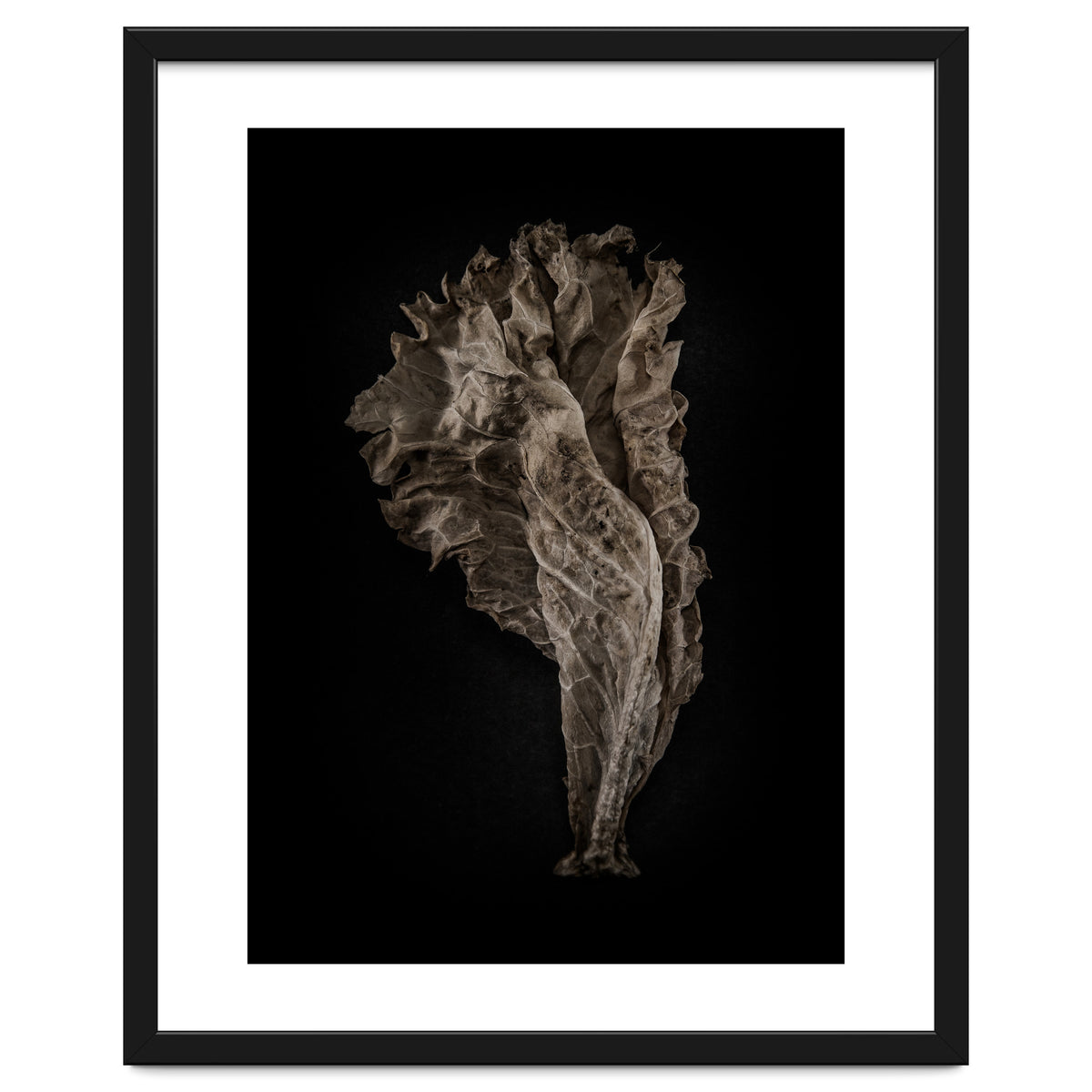 Leaves No 8 Color Version