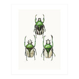 Cc Insects 04 (Print Only) thumbnail