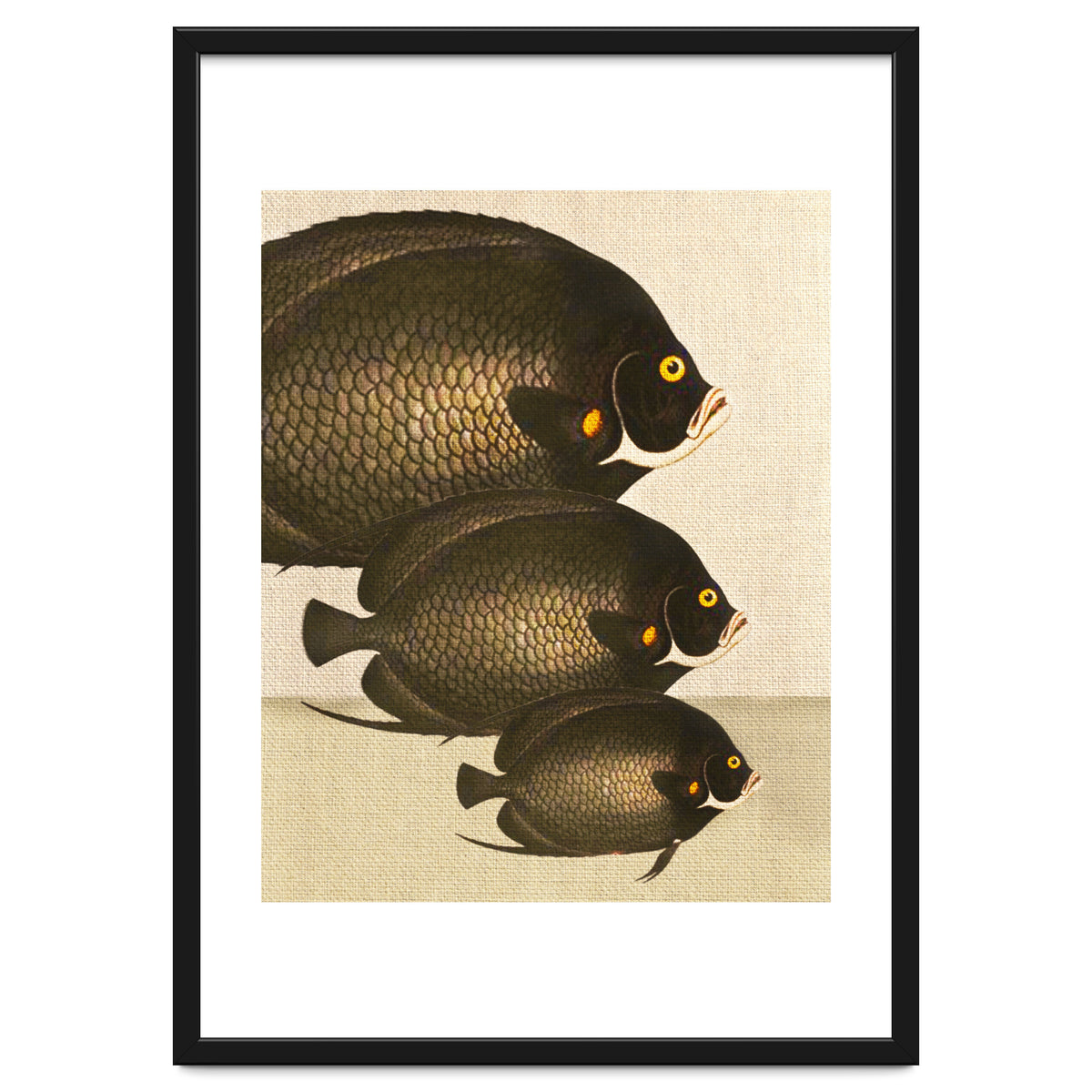 Fish Classic Designs 11