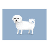 Bichon Frise (Print Only) thumbnail