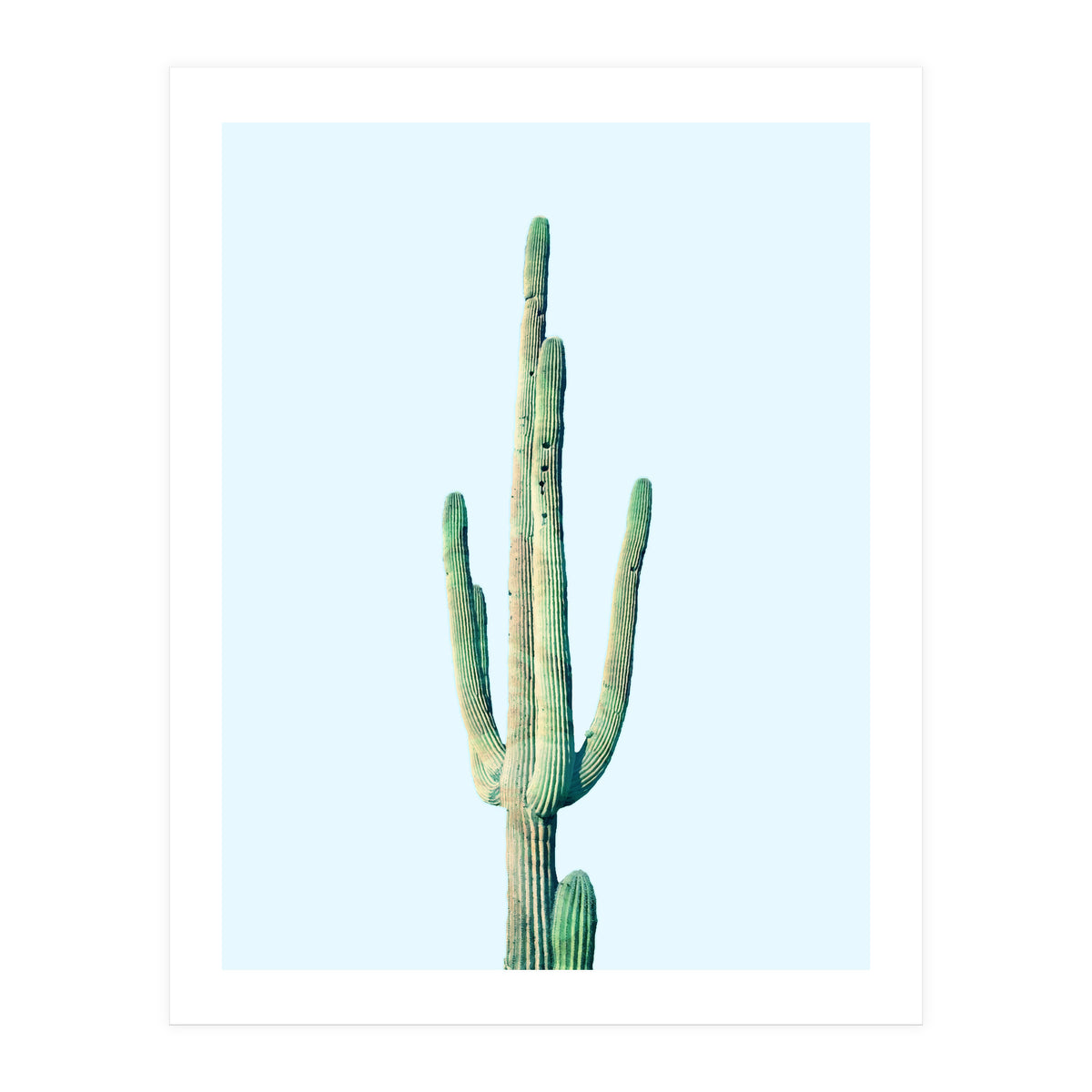 Loner Cactus (Print Only)