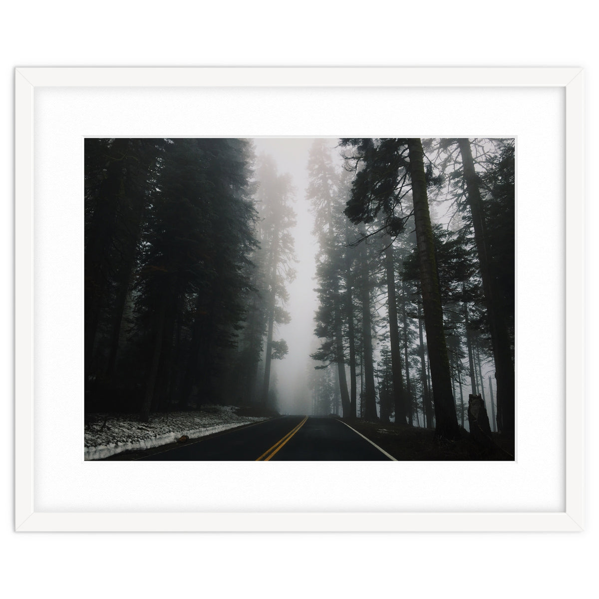 Foggy Yosemite
